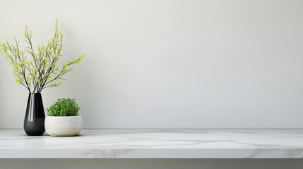 minimalist marble surface with black and white vases showcasing green plants for modern decor and interior design inspiration