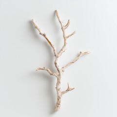 A wooden branch rests on a clean white surface, showcasing its natural texture and organic shape against a minimalist backdrop.