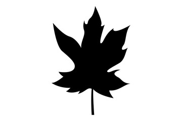 Leaf icon silhouette vector illustration
