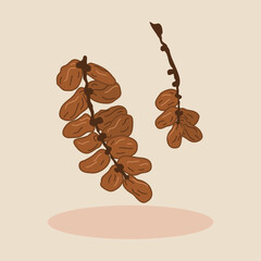 Fresh dates on branches with beige background