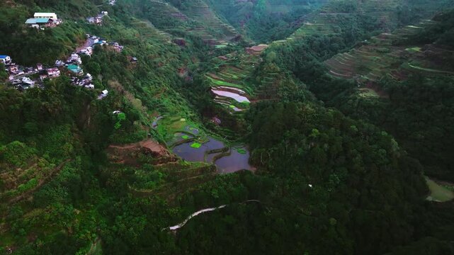 Aerial view of Banaue Rice Terraces, Ifugao, Philippines.
these ancient rice fields cascading down the mountainside, a testament to the ingenuity and perseverance of the Ifugao people