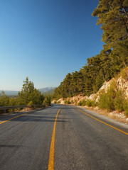 road in autumn