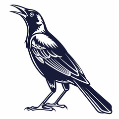 crow on a branch
