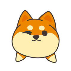 Chubby Shiba