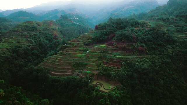 Aerial view of Banaue Rice Terraces, Ifugao, Philippines.
these ancient rice fields cascading down the mountainside, a testament to the ingenuity and perseverance of the Ifugao people