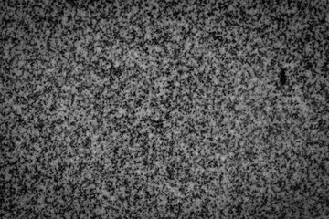Fototapeta premium gray granite texture. Middle size black grain.