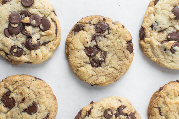 Overhead view of chocolate chip cookies on a cooling rack, top view of homemade chocolate chip cookies on a white background