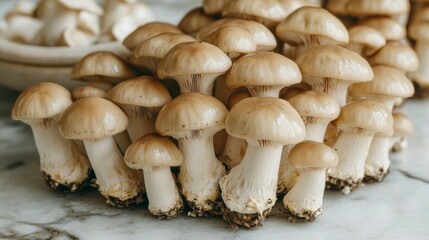 A close-up of a white oyster mushroom cluster, with soft light filtering through its delicate caps, showcasing the fine textures and unique structure of each mushroom.