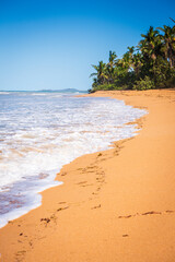 More than a mile long and shaded with coconut trees, Luquillo beach is a beautiful place to sunbathe and enjoy the ocean.