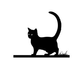 cat silhouette, cat vector illustrator