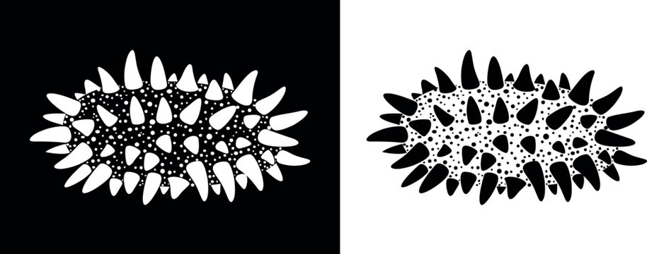 Sea cucumber logo. Isolated sea cucumber on white background. Trepang