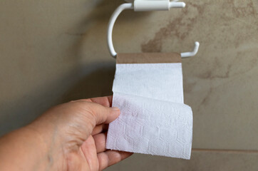 el último trozo de papel higiénico, una mano sosteniendo el final del rollo higiénico