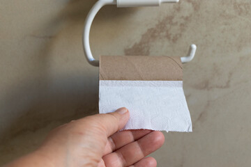 ¡se acabó el papel higienico!