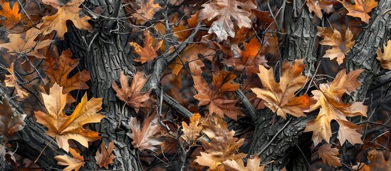 A camouflage pattern background with oak leaves and branches, featuring realistic tree textures for hunting