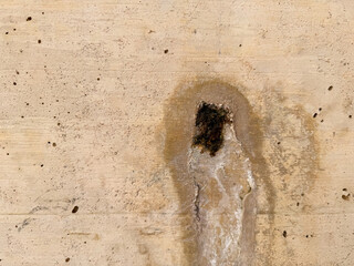 Weathered wall surface with natural stains and texture details