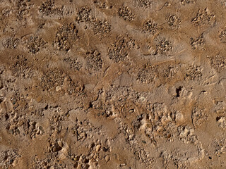 Rough textured earth surface with rocks and pebbles in a desert environment