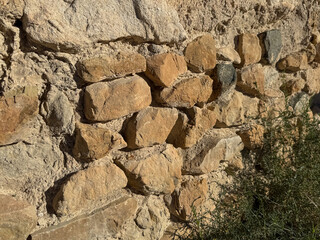 Ancient stone wall with sunlit textures and natural foliage