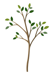 Life cycle of lemon tree. Vector young tree side view isolated on white background for landscape and architecture drawing, elements for environment and garden