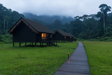 Fototapeta premium A path leads to a row of small wooden cabins in a lush green field