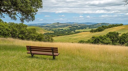 A peaceful meadow with a wooden bench and a view of distant hills