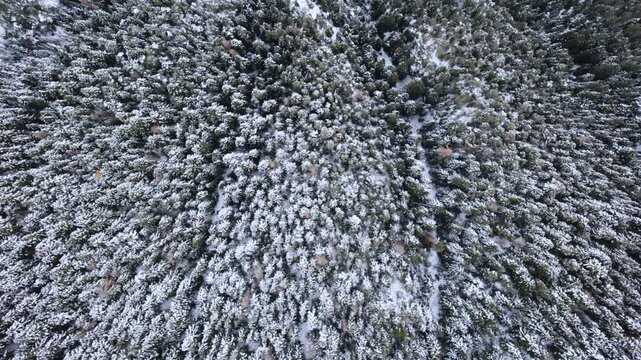 Vue de drone de la station de ski d'Auron, dans les Alpes, pr&egrave;s de Nice, France