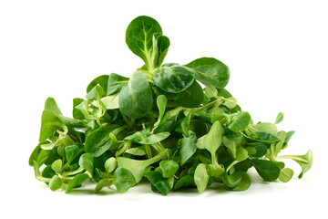 Lambs lettuce, corn salad, isolated on white background.