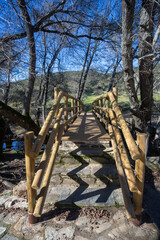 Wooden bridge surrounded by trees in a peaceful forest setting. Scenic nature view, ideal for...