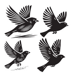 
A minimalist, beautiful linocut illustration of a flying Grosbeak bird in silhouette. This black vector artwork captures the elegant form and graceful movement of the bird.