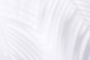 Obraz premium Template with empty white table or wall with natural plant shadow and sunny glare