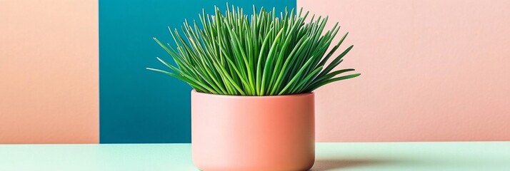 Vibrant potted grass plant in a pastel pink pot set against a modern, colorful geometric background for contemporary home decor