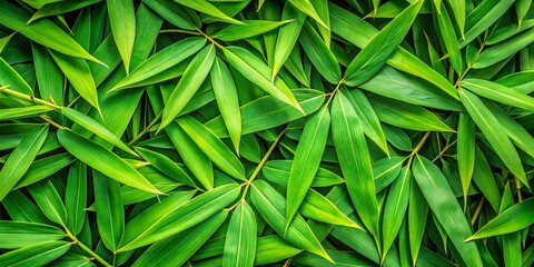 Fototapeta premium Lush Green Bamboo Leaves and Stalks Flat Lay - Nature Stock Photo