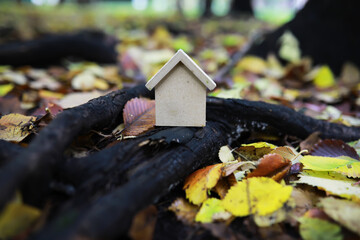 Miniature House on Tree Roots Surrounded by Autumn Leaves in Forest