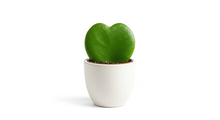 Heart Shaped Hoya Plant in White Pot on White Background