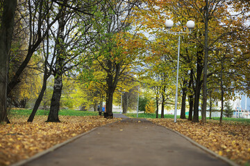 Serene Autumn Pathway in City Park with Colorful Leaves and Lamp Posts