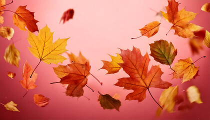 Vibrant autumn leaves in motion against a soft pink backdrop.  Perfect for fall themes, seasonal designs, and nature-inspired projects.