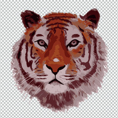 Illustration tête de tigre roux animal sauvage vecteur 