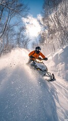 winter leisure with snowmobile