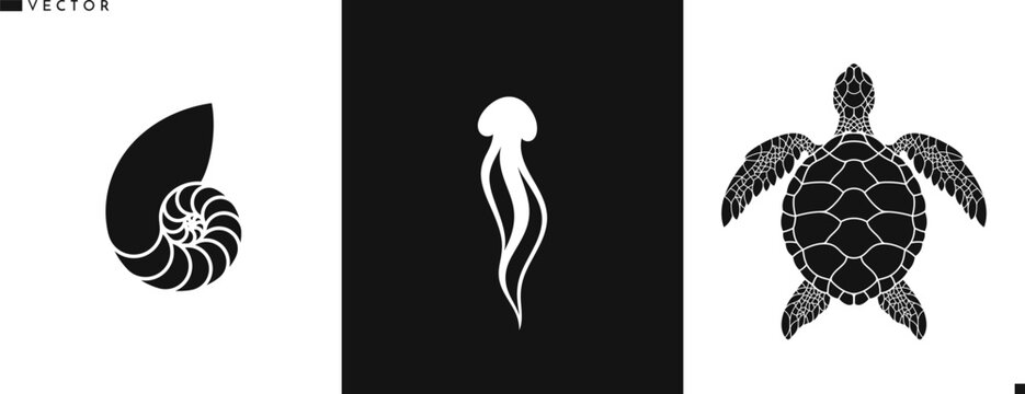 Sea life silhouette. Isolated jellyfish nautilus shell and sea turtle. Wild animals in Australia