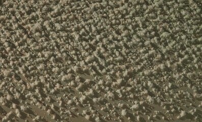 Fototapeta premium Snowflakes on a Car at Night: Winter's Frozen Art
