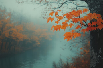Matin d&rsquo;automne brumeux &agrave; la campagne avec feuillage orange et rouge
