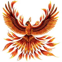 Phoenix firebird mithological Creature looking like a burning Bird vector illustration isolated on white 