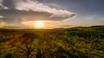 sunset over the field