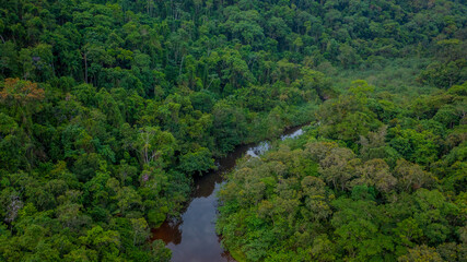 Beautiful aerial view of a small river that flows into Praia da Fazenda, a sustainable tourist destination within the protected area of Serra do Mar State Park, Ubatuba / SP.