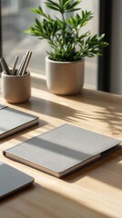 minimal workspace with notebooks and green potted plant on sunlit wooden desk presenting modern interior copyspace concept of business office productivity
