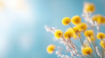 Bunch of yellow flowers with a blue background