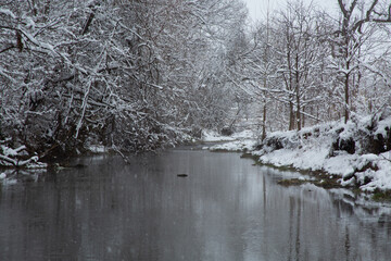 Snowy River