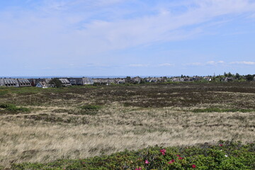Blick auf die Küstenlandschaft bei Kampen auf der Nordfriesischen Insel Sylt