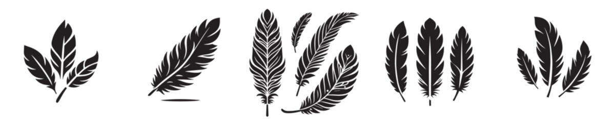 Obraz premium Vector collection of bird feather silhouettes