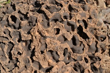 Textured volcanic rock surface with unique patterns and holes