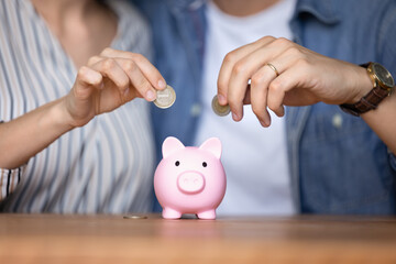 Hands of young couple throwing coins into ceramic piggy bank for getting future profit, income,...